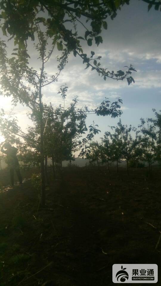 115810shwe1l91gzi22d1m.jpg
