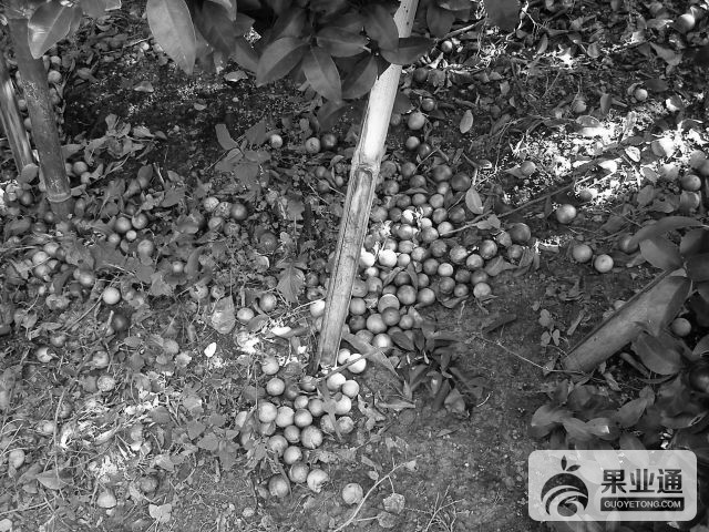 2011101719581462554-22.jpg
