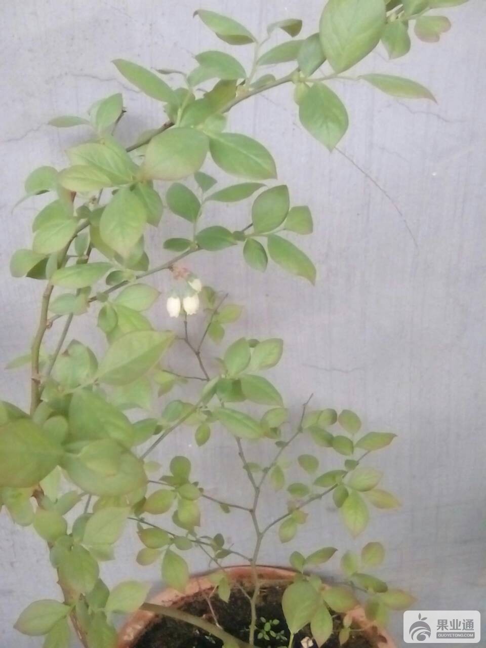 050432eyacamwryoraayzb.jpg