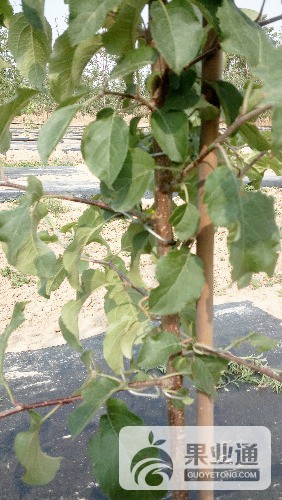 IMG_20160522_085243.jpg