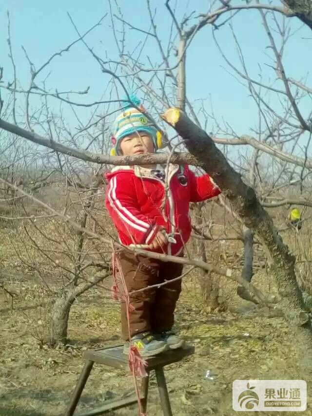 195011iuflluqdlrtyjhad.jpg
