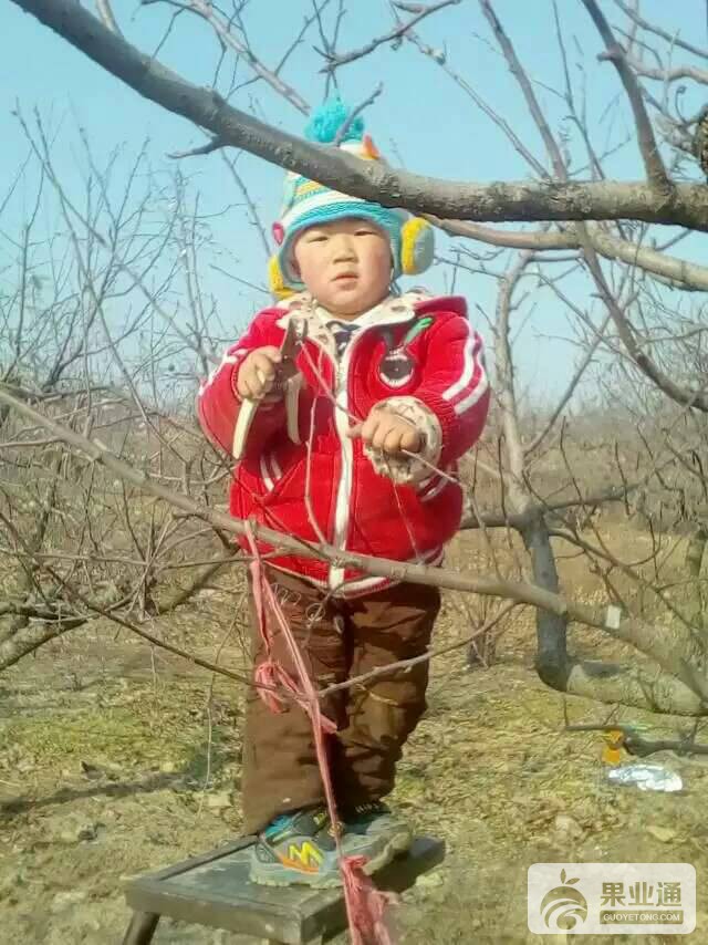 195012aeh70ihayu2yi111.jpg