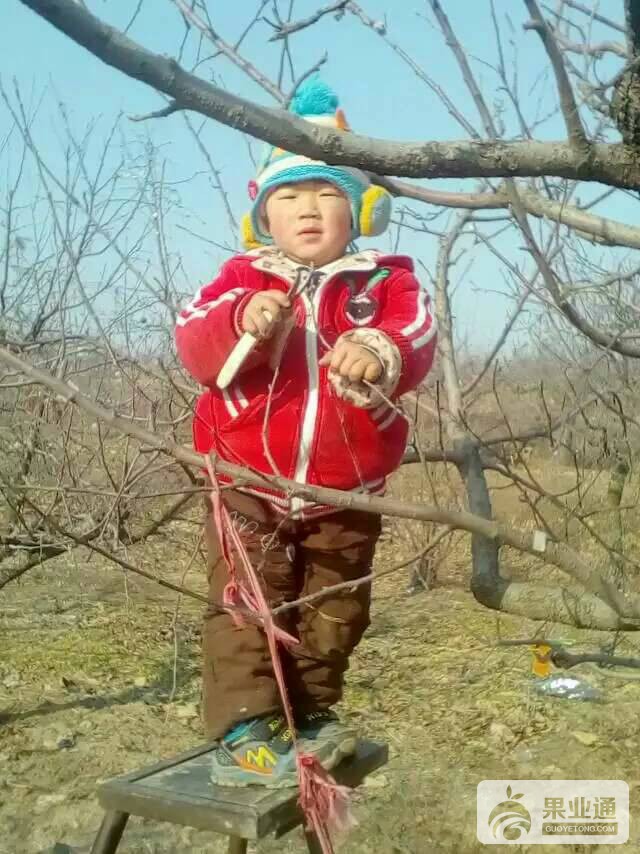 195013qgkknpqpdnzeqg8o.jpg