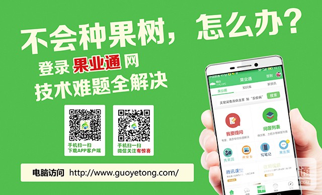 果业通广告.jpg