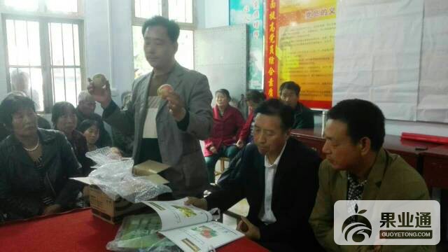 135211zsaw87ff71sp7phy.jpg