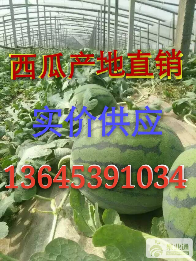 mmexport1461990800897_mh1462431387686.jpg