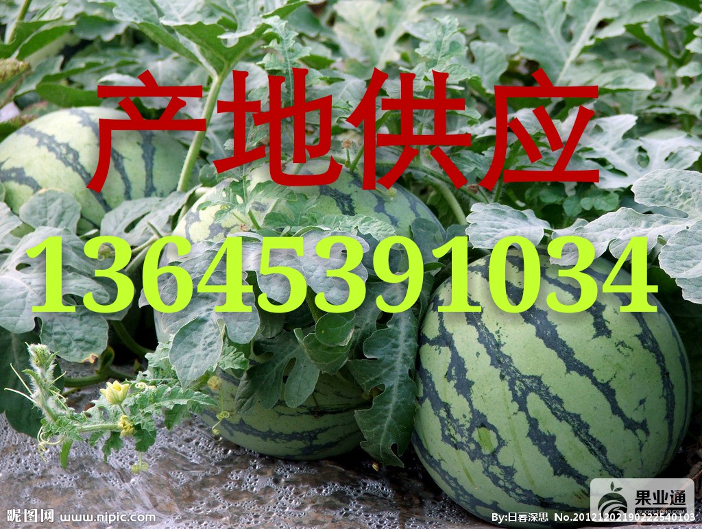 160421092543padwfe_mh1461595501990.jpg