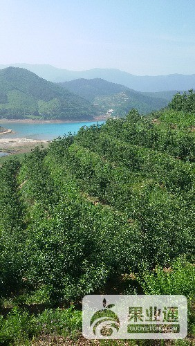 20160608_081718.jpg