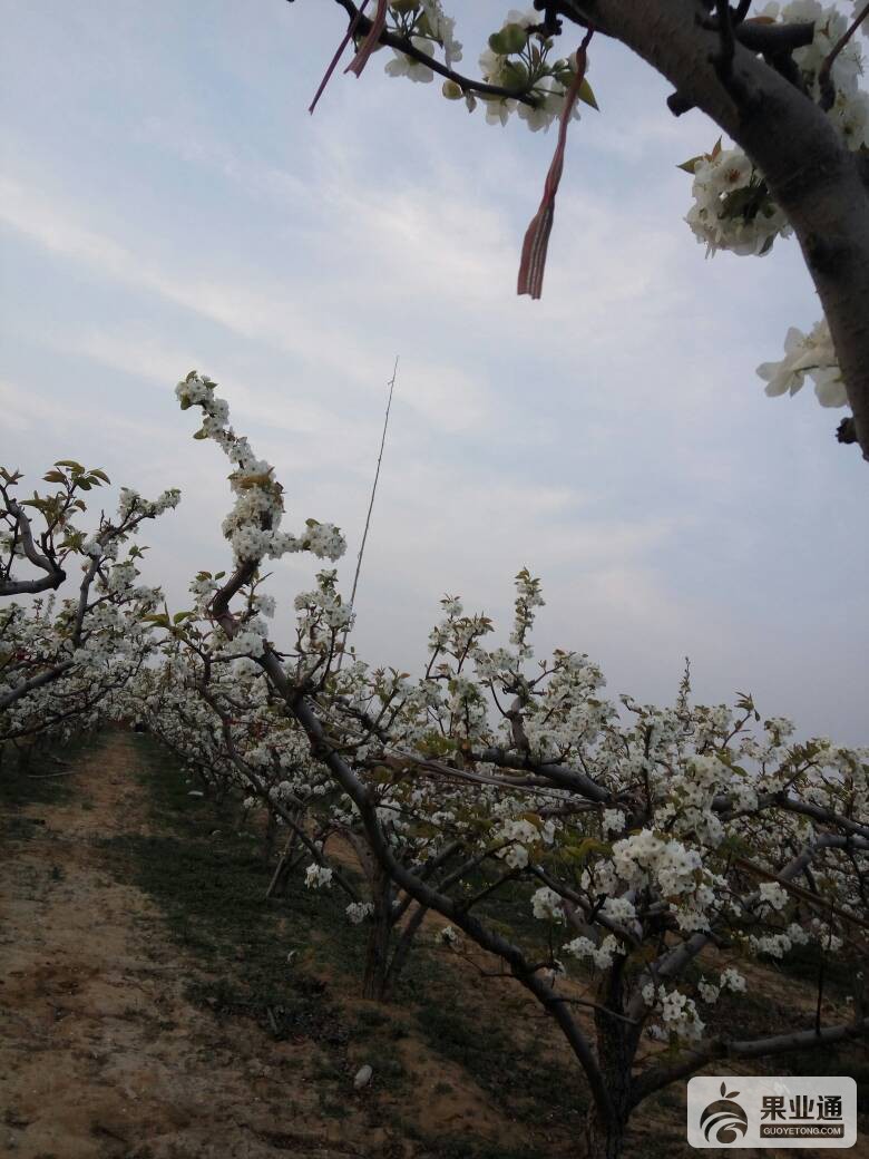 112011ilxqhst6s6l2h621.jpg
