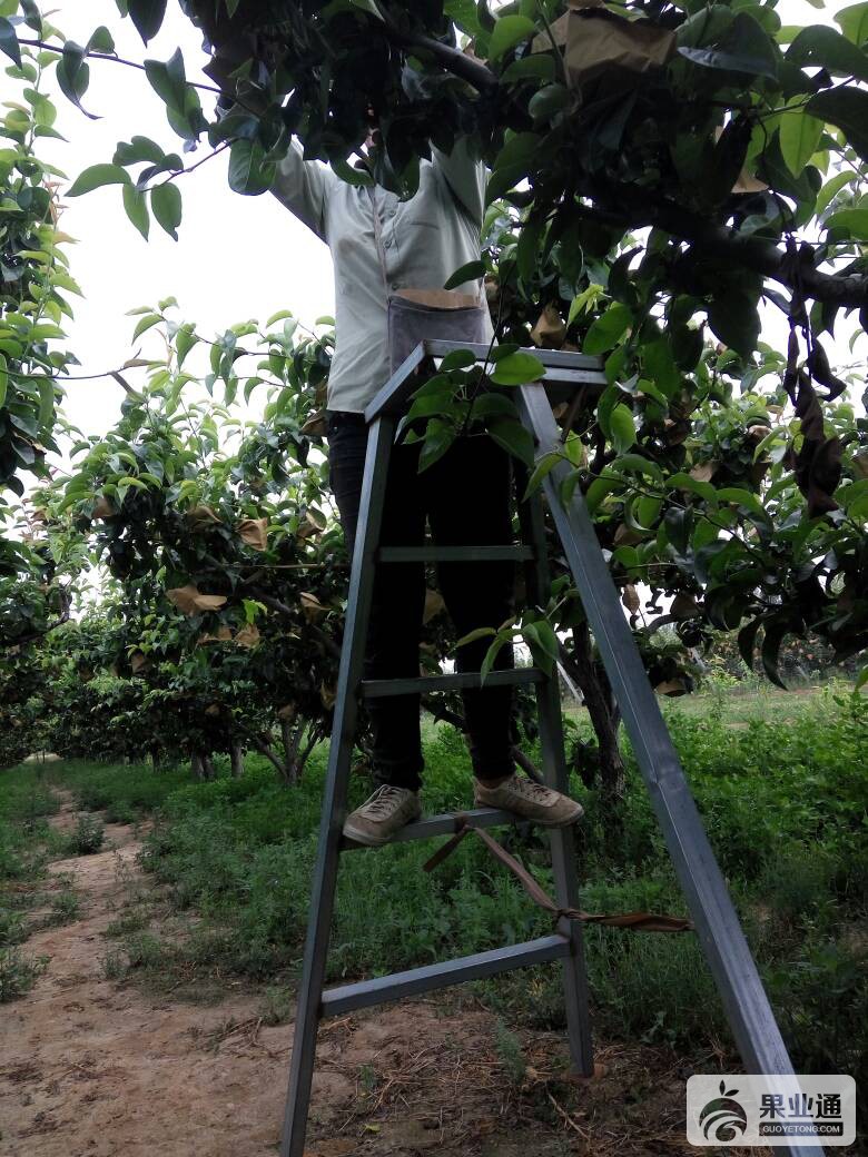 112012jpj04oadncpshwij.jpg