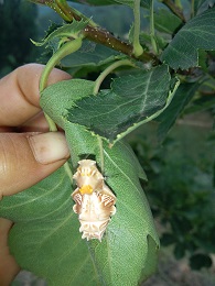 IMG_20160611_170730.jpg