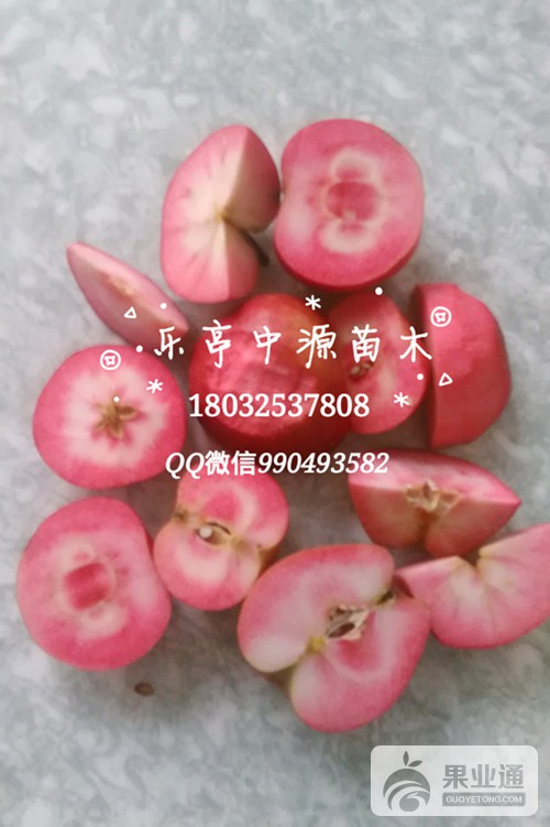 IMG_20151006_172338_mh1465634565734_副本.jpg