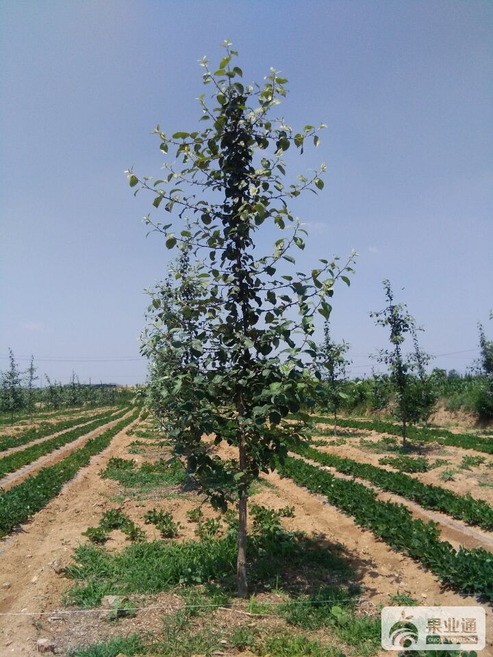 QQ图片20160616193332.jpg