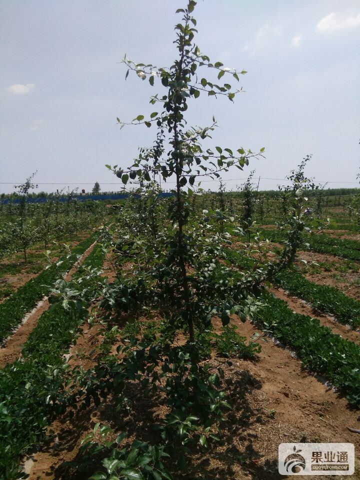QQ图片20160616204301.jpg