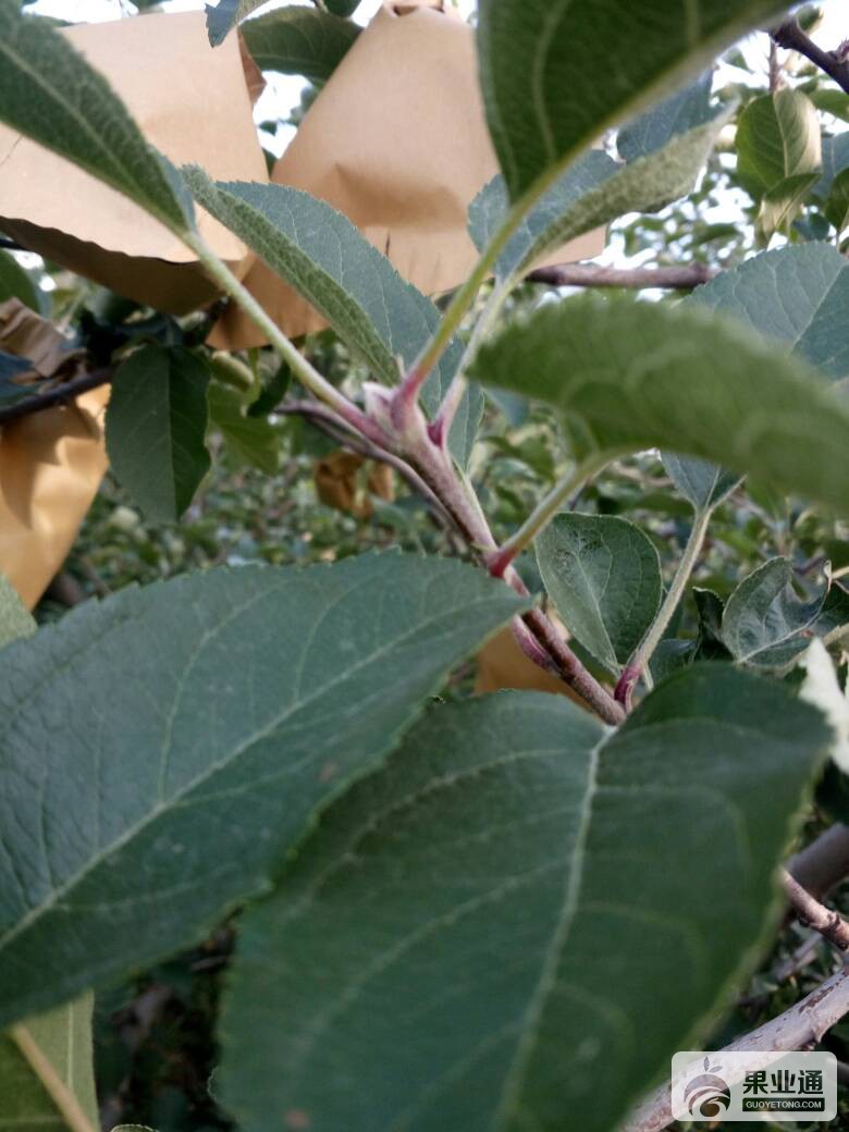 200958i5m10s9itukm04z3.jpg