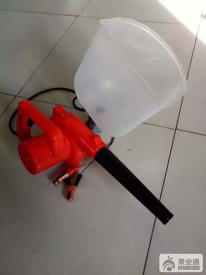 153547nvgjwir8o48gk6wt.jpg