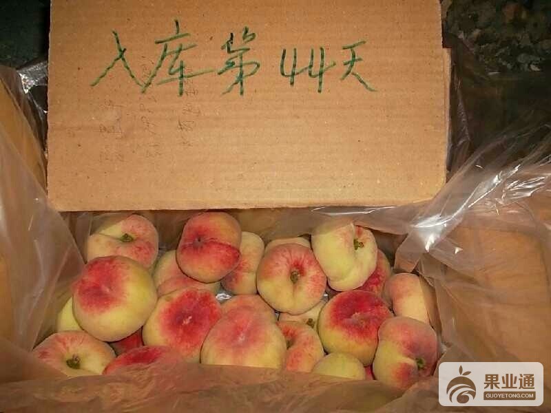 新疆蟠桃.jpg
