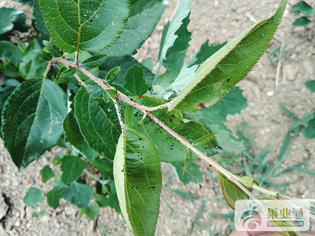 IMG_20160610_095858.jpg