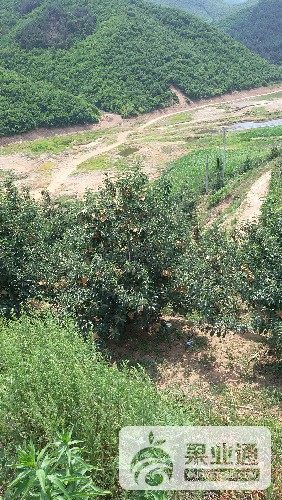 20160626_104343.jpg
