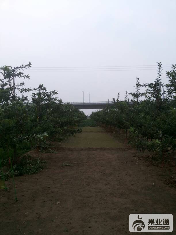 225005boiam0mliwlq0001.jpg