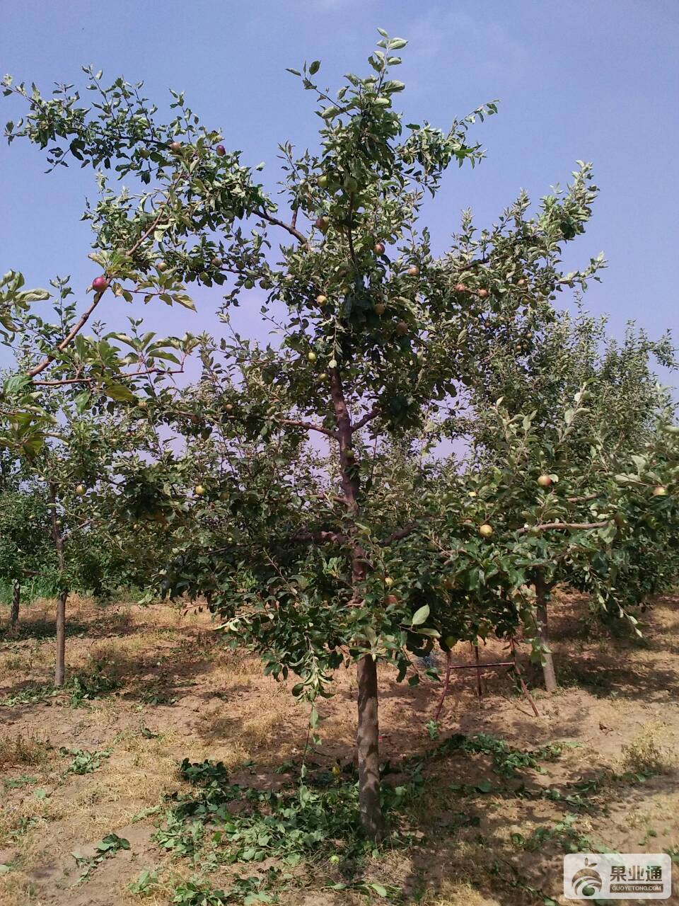 175153wb24xze43ezxwacb.jpg