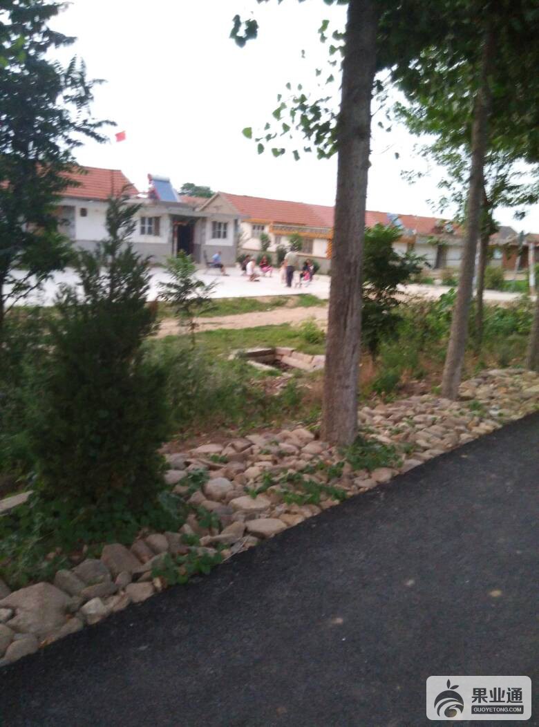 201853ekkkfsnf7n2zuucn.jpg