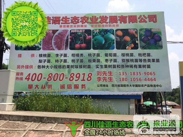 佳语在简阳