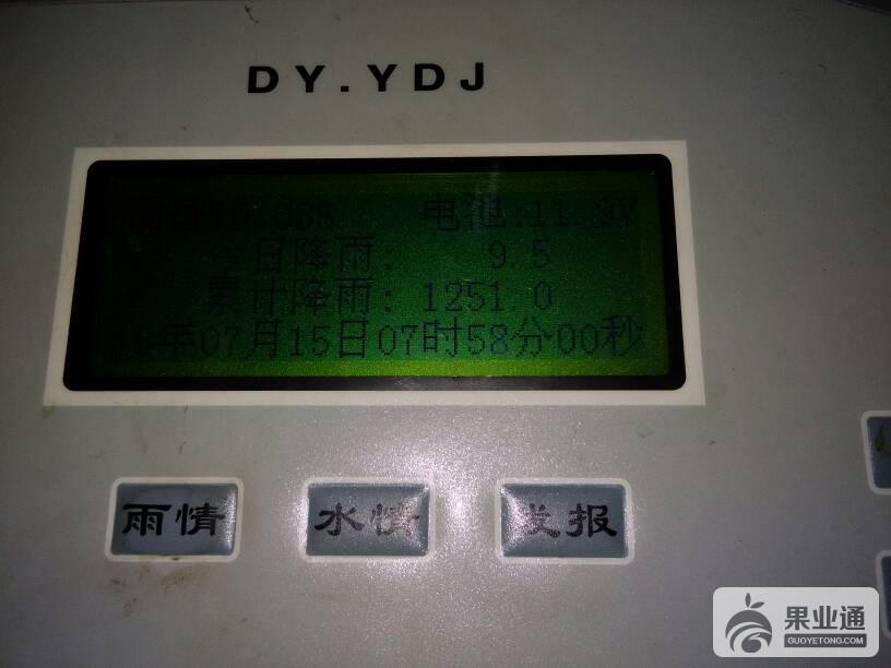 080206pux3p3g3yaunngny.jpg