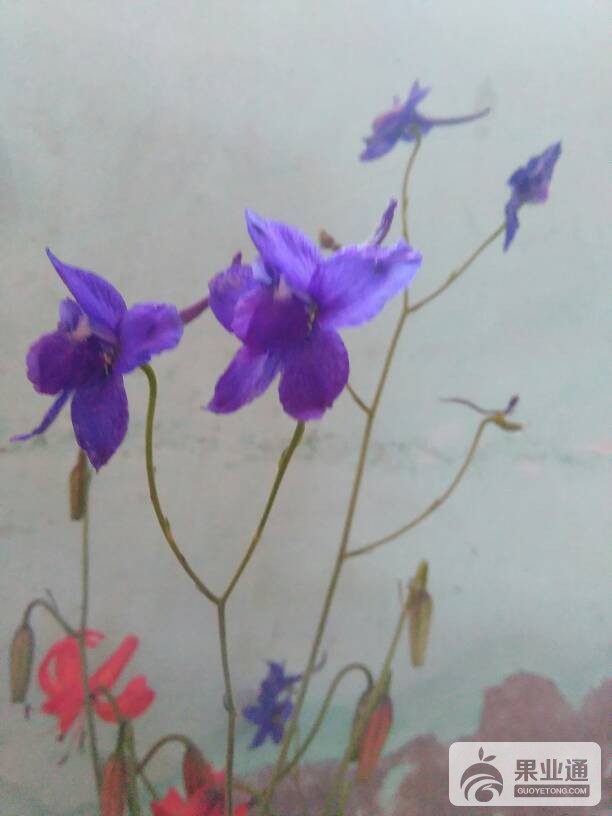 130146oi1ebdpb1lv5lkpa.jpg