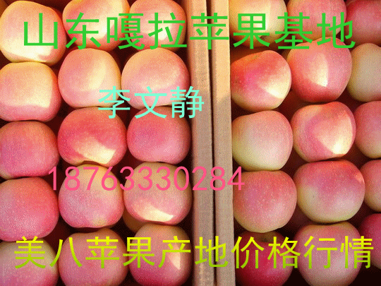 760877_副本.gif