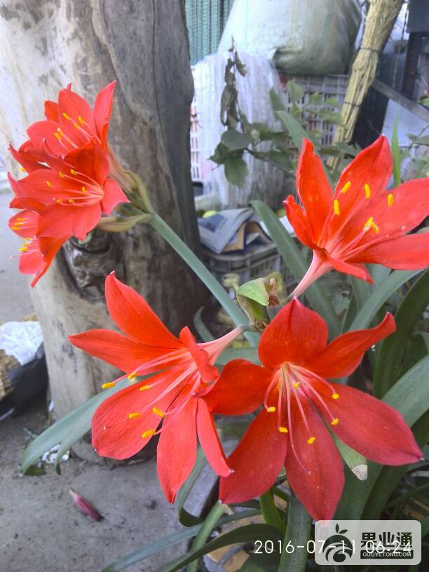 114711p64syy6besn1jbmb.jpg