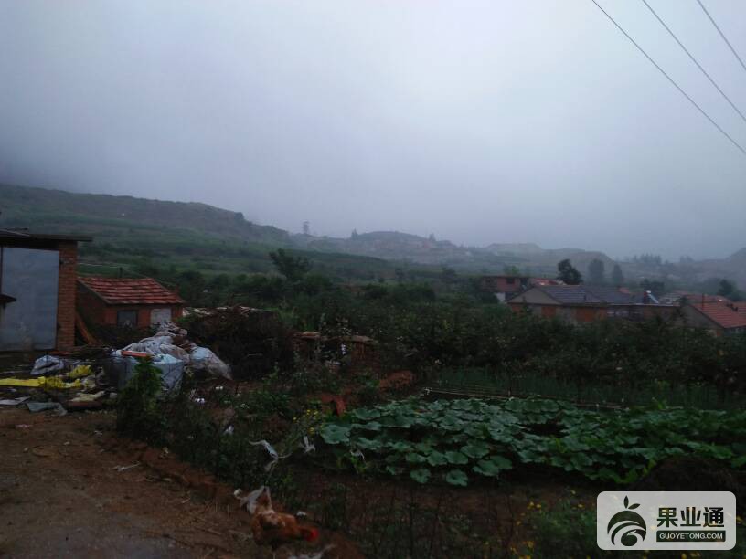 165252cln8rjq4nylyasq5.jpg