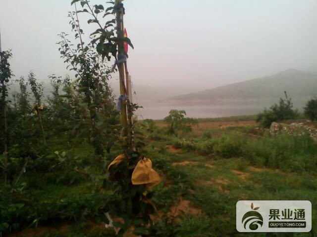 125425f0jiwinadhanwbsd.jpg