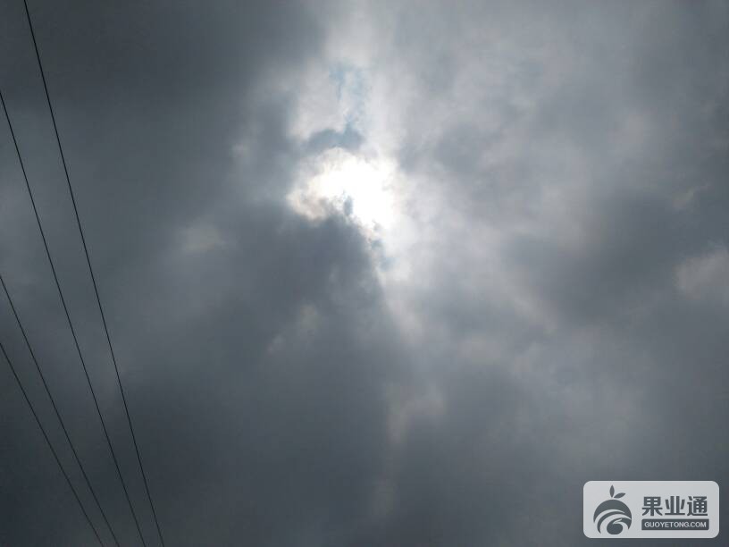135802ds5qgxhu5sob05oo.jpg