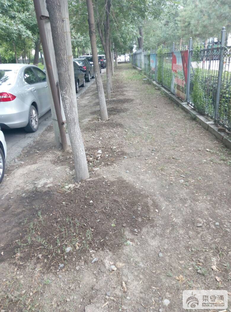 095022dxkp9rtkcbqz2vqs.jpg