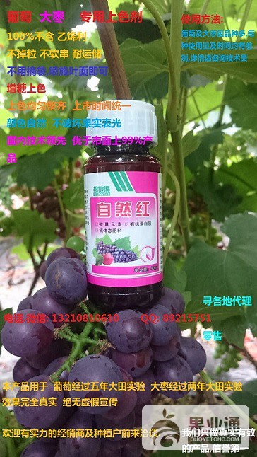 广告.jpg