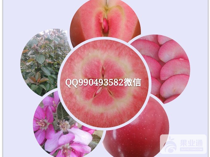 红色之爱_mh1470530758080.jpg