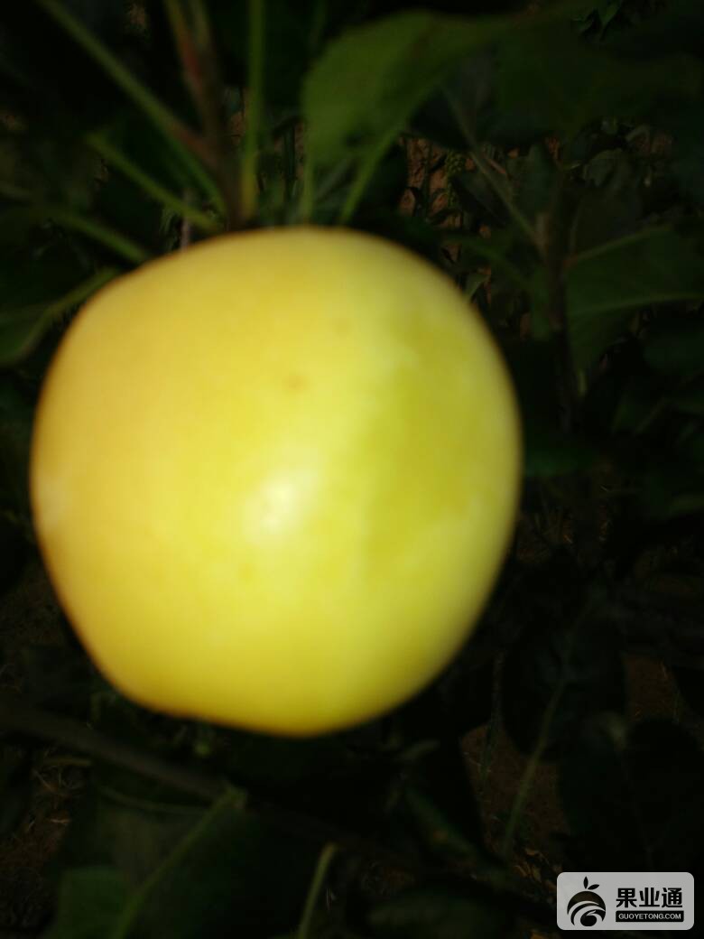 183013tjkp5h04pi7pi224.jpg