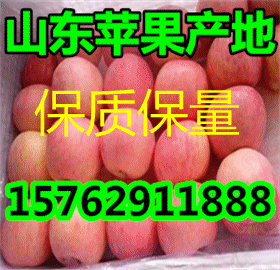 55ef91b9dc26a_副本.gif