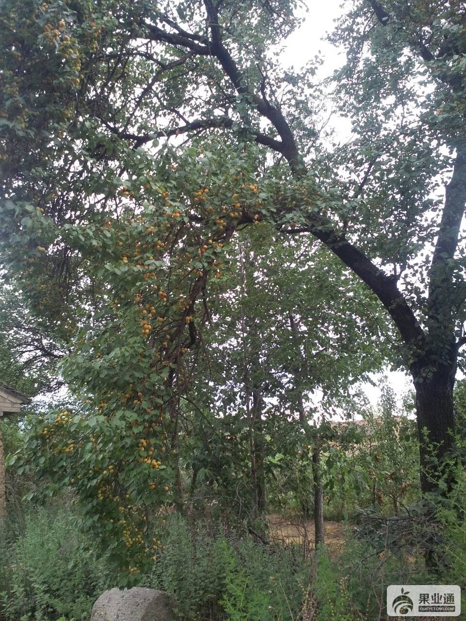 120850j3wxejhvjxjhrcch.jpg