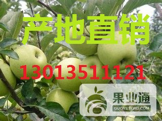 2_64_972deb34d0d629e.jpg