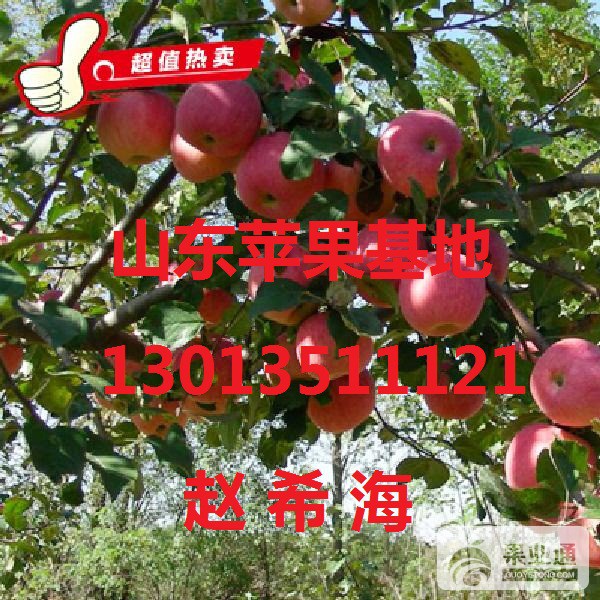 A88117EC2DChRkRlexk3uAdEJkAAP5FdZqJNI042!600x600.jpg