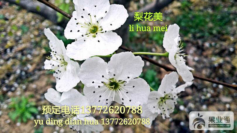 113211hmv9u7f8f9w9luu8.jpg