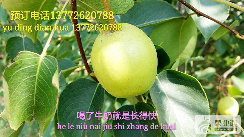 113211qu1i9u7pygfcf1gt.jpg