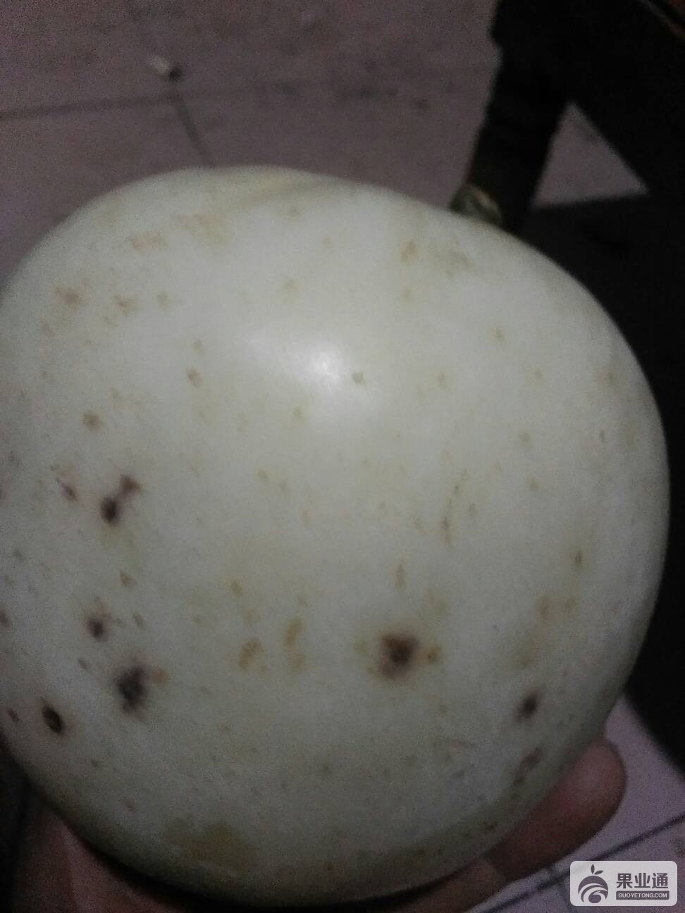 032119d0wbzz48bbiewuu4.jpg