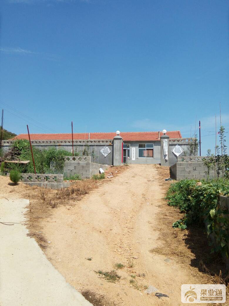 060120ip8adtm9k5kamzmm.jpg
