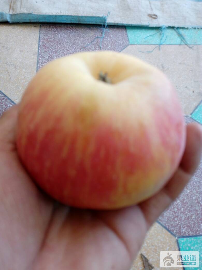 140847cttwjtvwpwz7j7u7.jpg