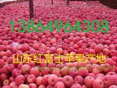 15-43-42-66-11221_jpg_middle.jpg