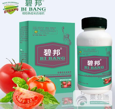 番茄喷施.jpg