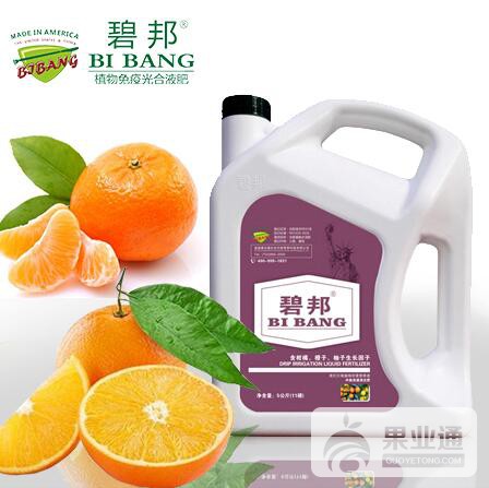 柑橘冲施.jpg